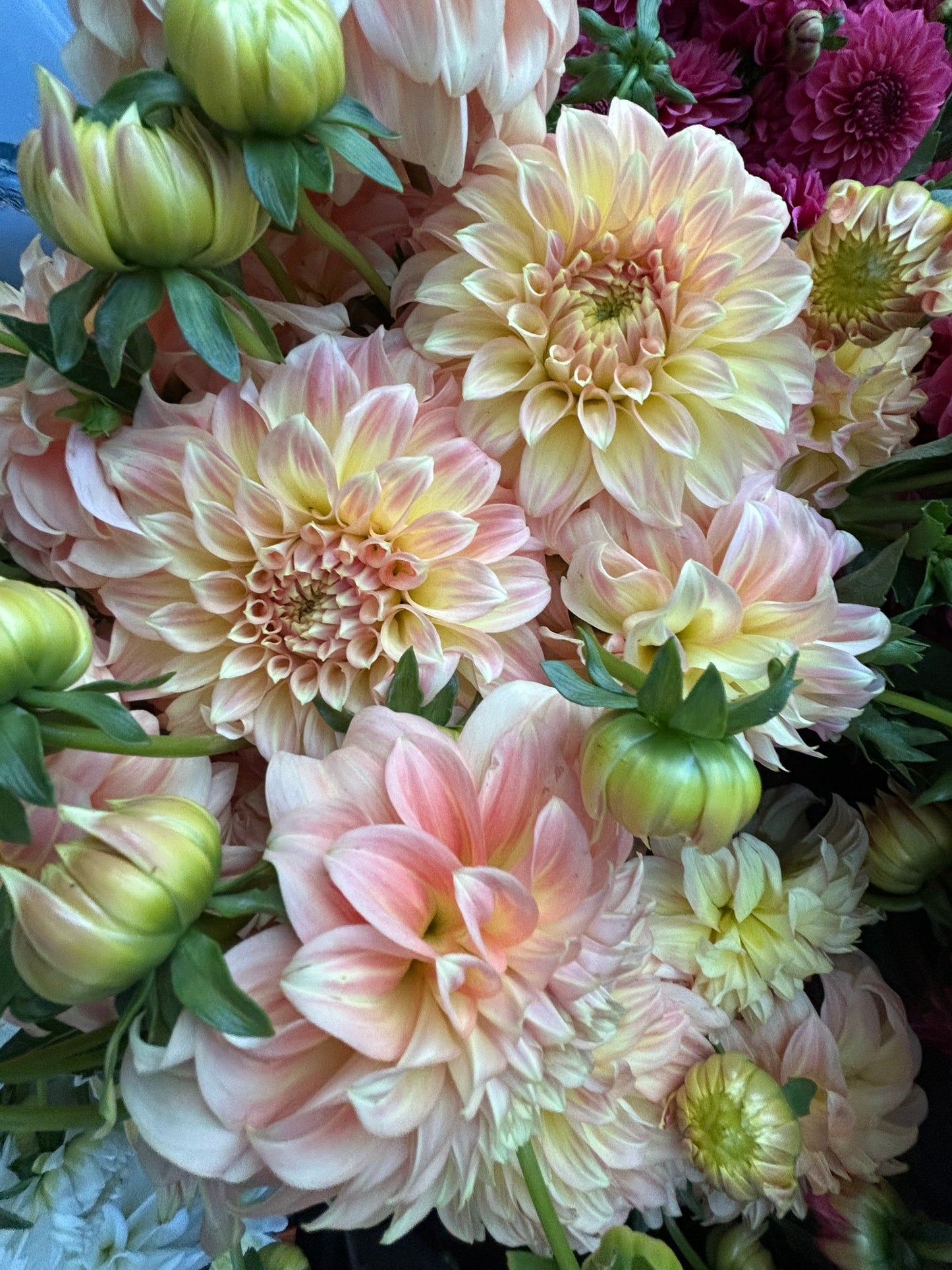 Dahlia Dreams Workshop w/ Walking Wind Farm & Florist- September 18, 6-7 PM