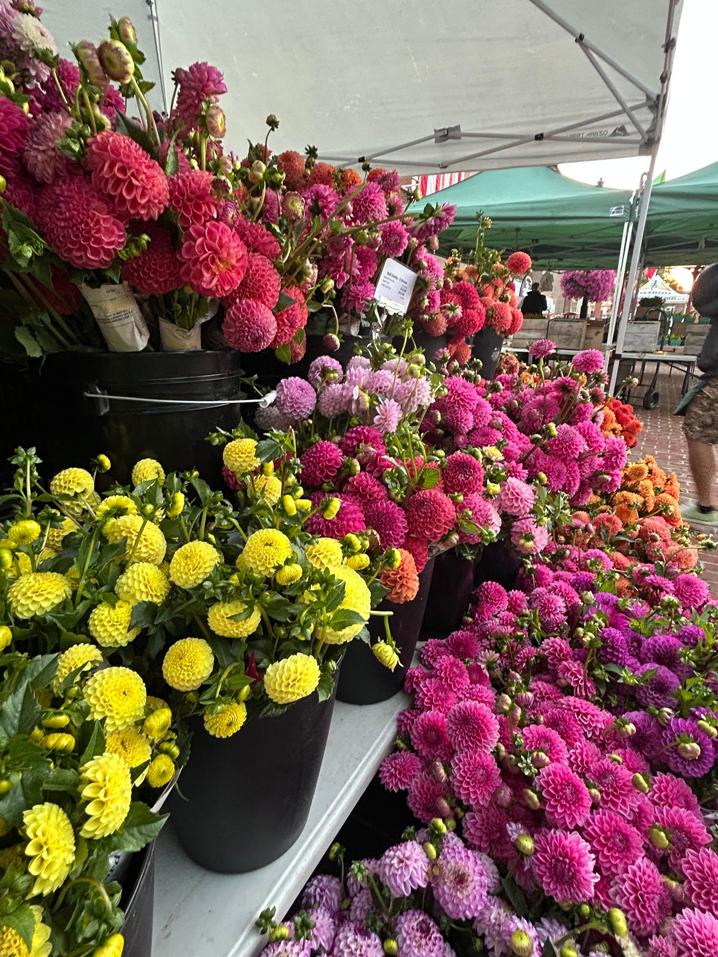 Dahlia Dreams Workshop w/ Walking Wind Farm & Florist- September 18, 6-7 PM