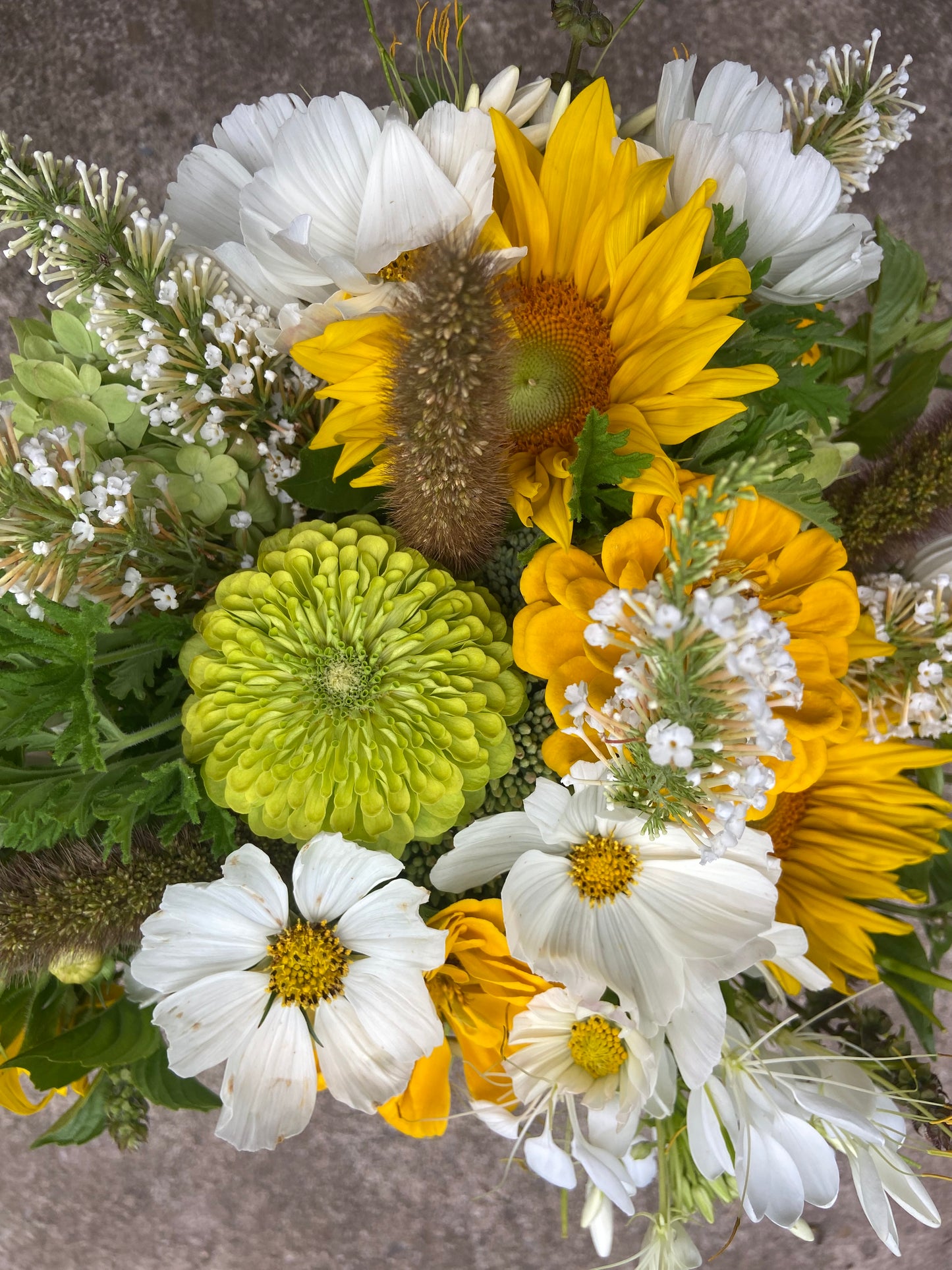 The Art of the Field Workshop with Walking Wind Farm & Florist- Friday, June 12 from 6-7PM